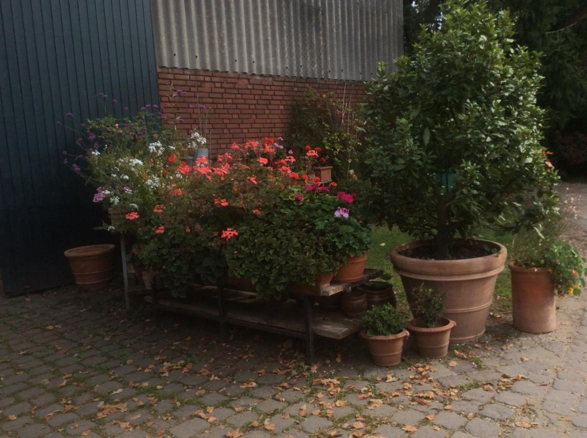 Ferienwohnung Haumannshof Xanten Exterior foto